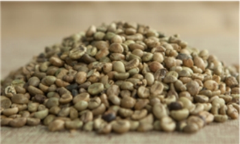 Cà phê Robusta Tiêu chuẩn