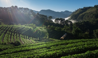 It is a long established fact that